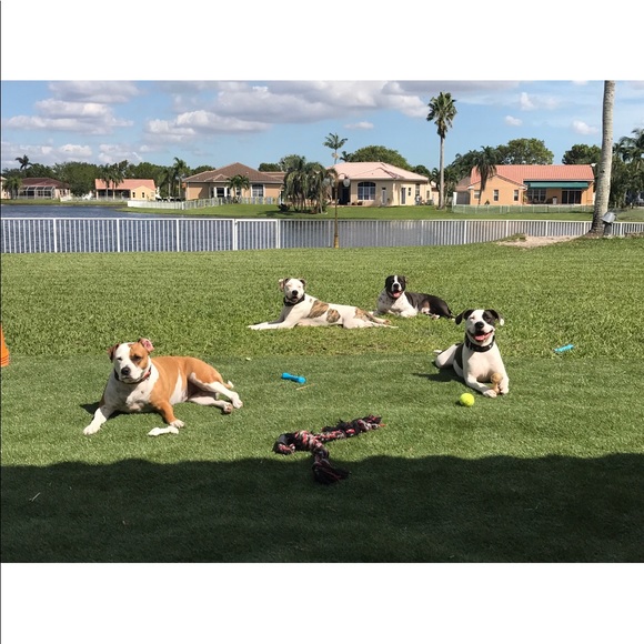 Meet your Posher, Jacki - Picture 1 of 1